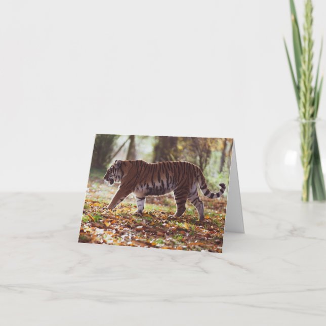 Tarjeta de felicitación por cumpleaños de Big Tige (Anverso)