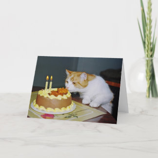 Tarjeta de felicitación por cumpleaños de gato de