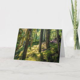 Tarjeta de felicitación por el bosque iluminado po