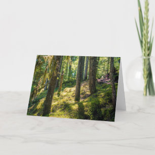 Tarjeta de felicitación por el bosque iluminado po