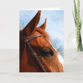Tarjeta de felicitación por foto de Caballo de Cab
