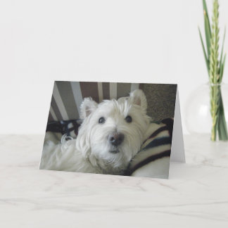 Tarjeta de felicitación por foto de Cute Westie Fa