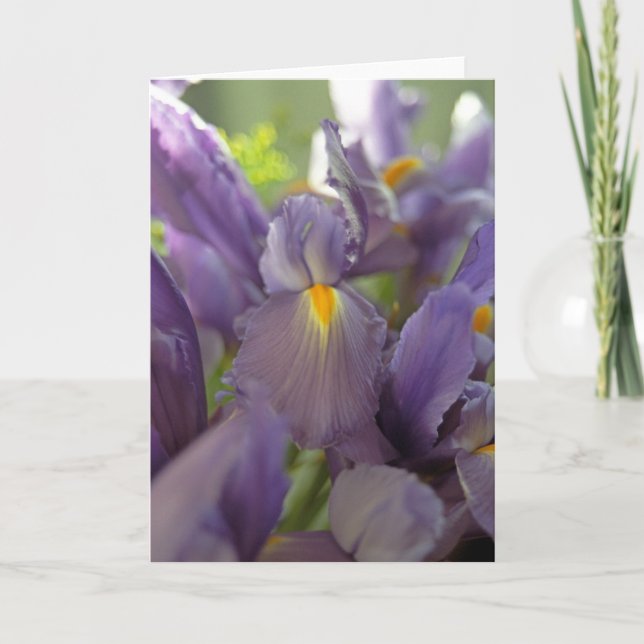 Tarjeta de felicitación por foto de irises morados (Anverso)