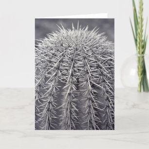 Tarjeta de felicitación por foto del desierto de S