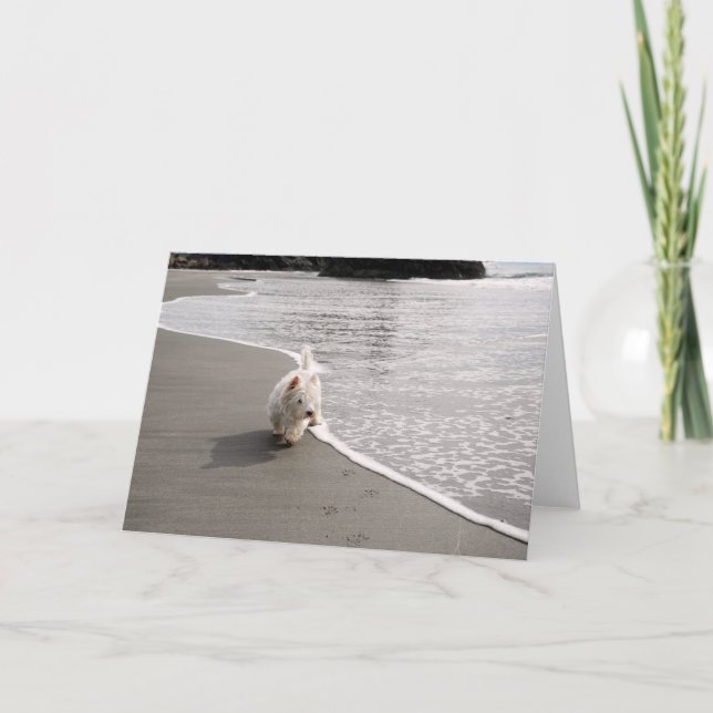 Tarjeta de felicitación por la foto de Beachcombin (Anverso)