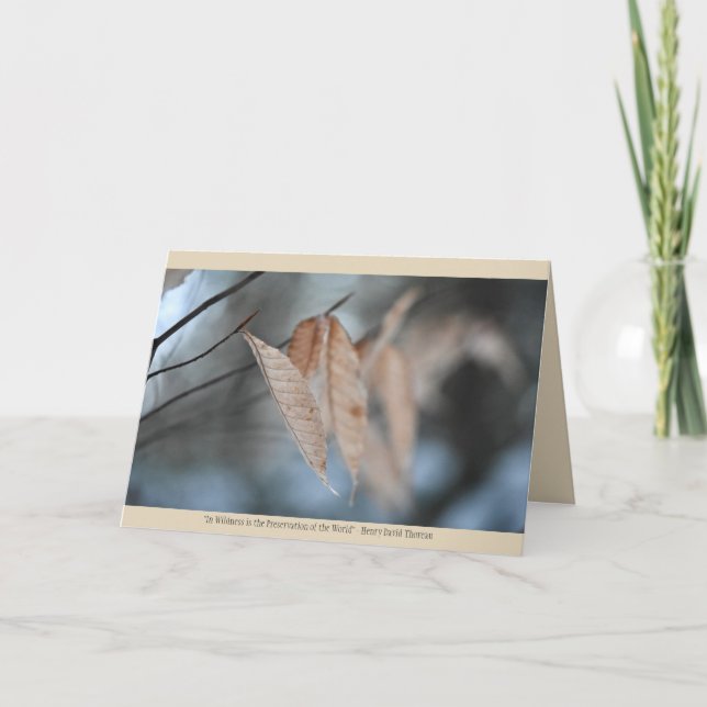 Tarjeta de felicitación por naturaleza (Anverso)