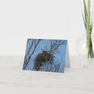 Tarjeta de felicitación por problemas de águila do