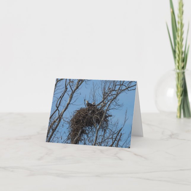 Tarjeta de felicitación por problemas de águila do (Anverso)