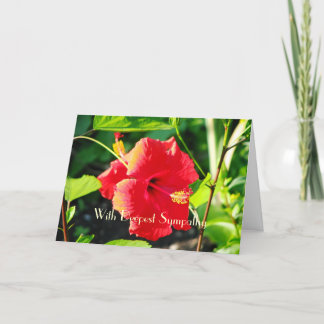 Tarjeta de felicitación por simpatía de Hibiscus