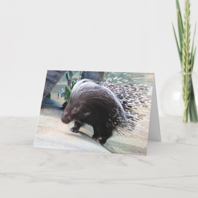 Tarjeta de felicitación Pricky Porcupine (Anverso)