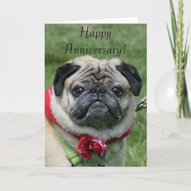 Tarjeta de felicitación Pug del Aniversario Feliz (Anverso)