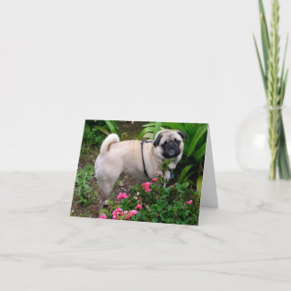 Tarjeta de felicitación Pug Puppy Dog Blank