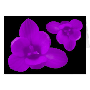 Tarjeta de felicitación Purple Crocus