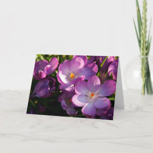 Tarjeta de felicitación Purple Crocus