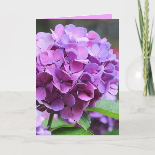 Tarjeta de felicitación Purple Hydrangea (Anverso)