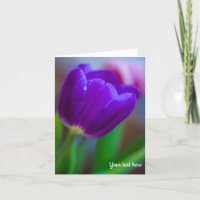 Tarjeta de felicitación Purple Tulip