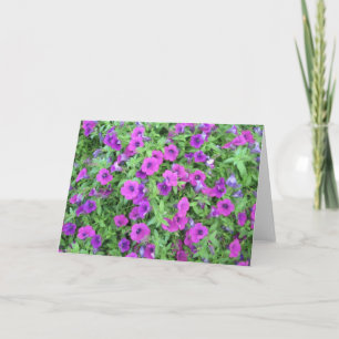 Tarjeta de felicitación púrpura de las petunias