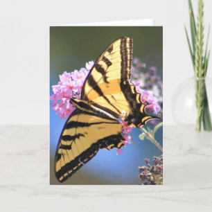 Tarjeta de felicitación que ofrece la mariposa