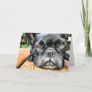 Tarjeta de felicitación Queen Fi Pensando en tu