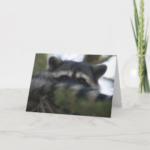 Tarjeta de felicitación: Racoon