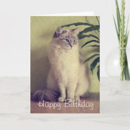Tarjeta de felicitación Ragdoll Cat