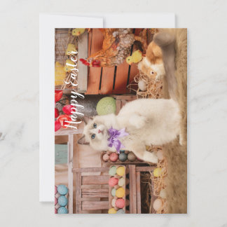 Tarjeta de felicitación Ragdoll Cat Easter