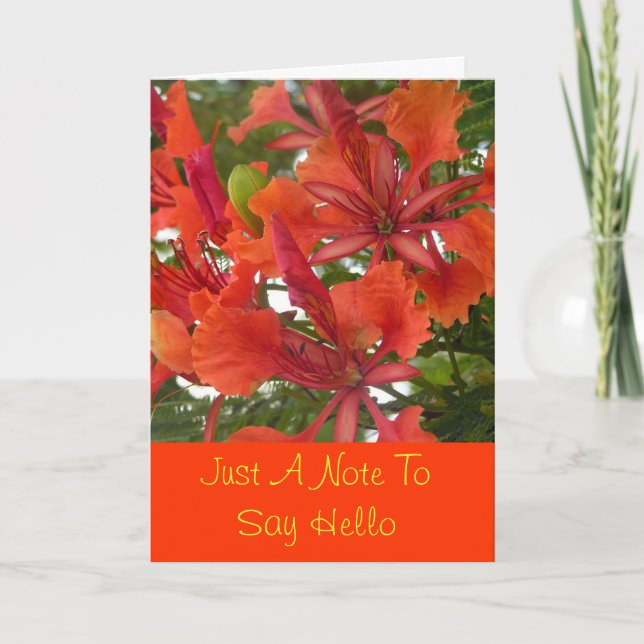 Tarjeta de felicitación real de la flor de (Anverso)