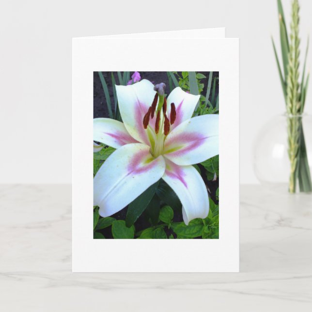 Tarjeta de felicitación real de Lily Blanca Añadir (Anverso)