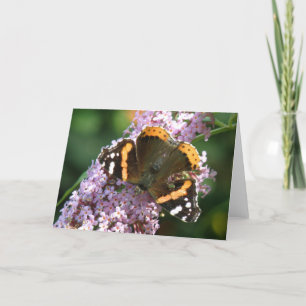 Tarjeta de felicitación Red Admiral Butterfly y Bu