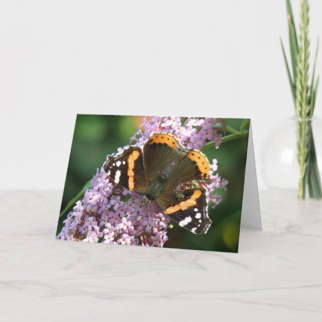 Tarjeta de felicitación Red Admiral Butterfly y Bu (Anverso)