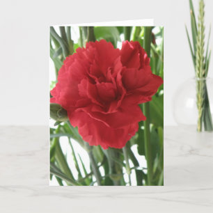 Tarjeta de felicitación Red Carnation