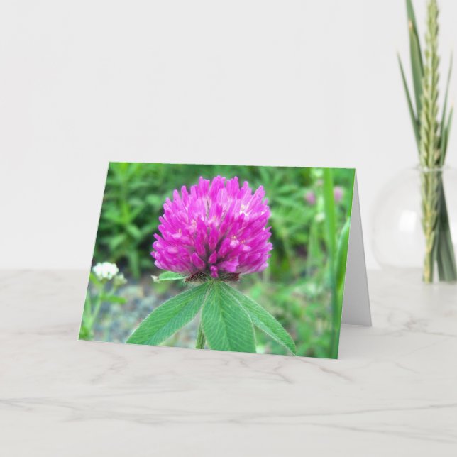 Tarjeta de felicitación Red Clover Blossom 3 (Anverso)