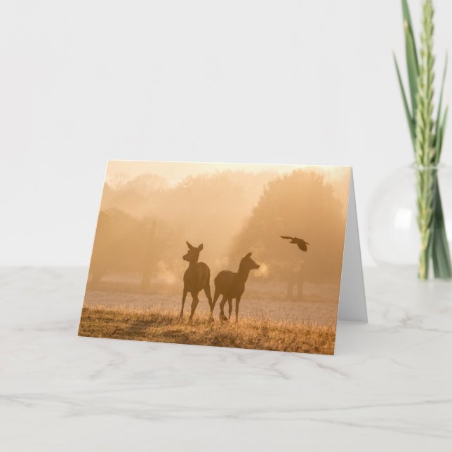 Tarjeta de felicitación Red Deer y Jackdaw (Anverso)