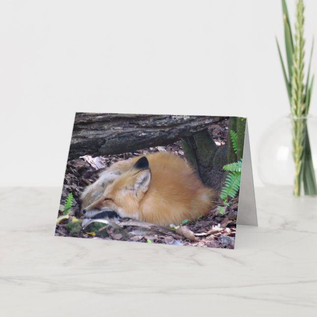Tarjeta de felicitación Red Fox (Anverso)