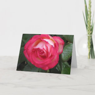 Tarjeta de felicitación Red Rose