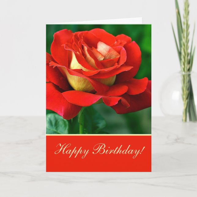 Tarjeta de felicitación Red Rose Birthday (Anverso)