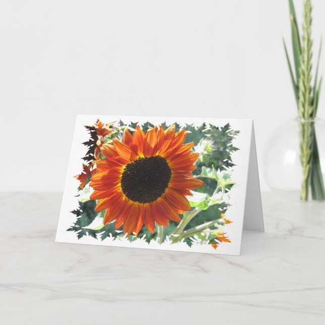 Tarjeta de felicitación Red Sunflowers (Anverso)