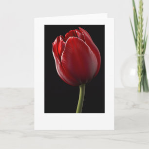 Tarjeta de felicitación Red Tulip