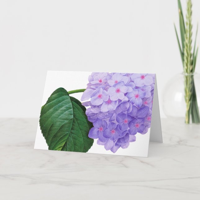 Tarjeta de felicitación Redoute Purple Hydrangea (Anverso)