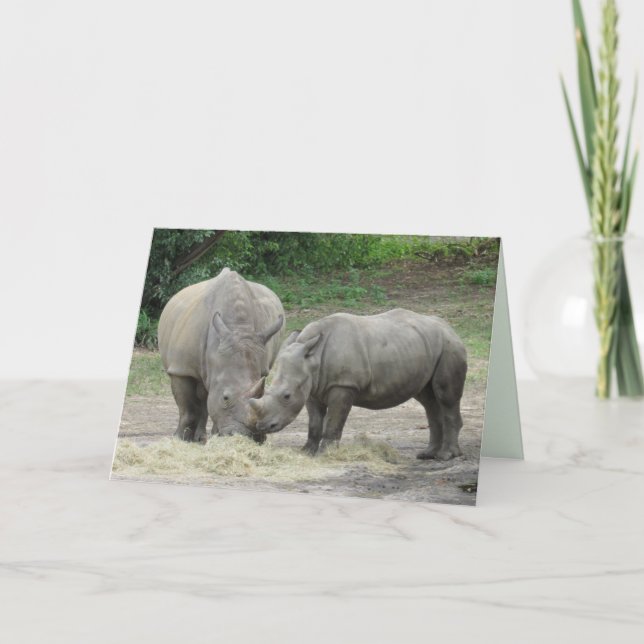 Tarjeta de felicitación Rhinoceros (Anverso)
