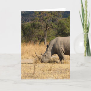 Tarjeta de felicitación Rhinoceros Family