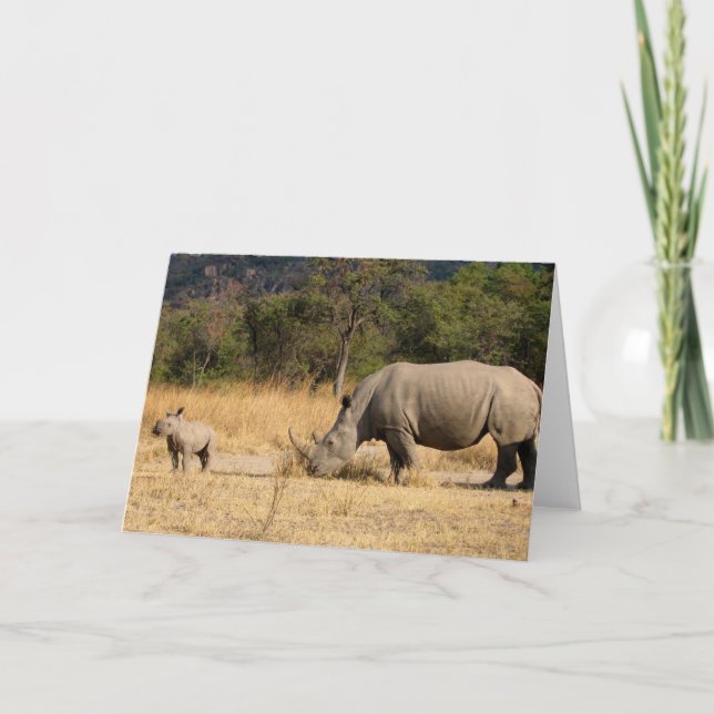 Tarjeta de felicitación Rhinoceros Family (Anverso)
