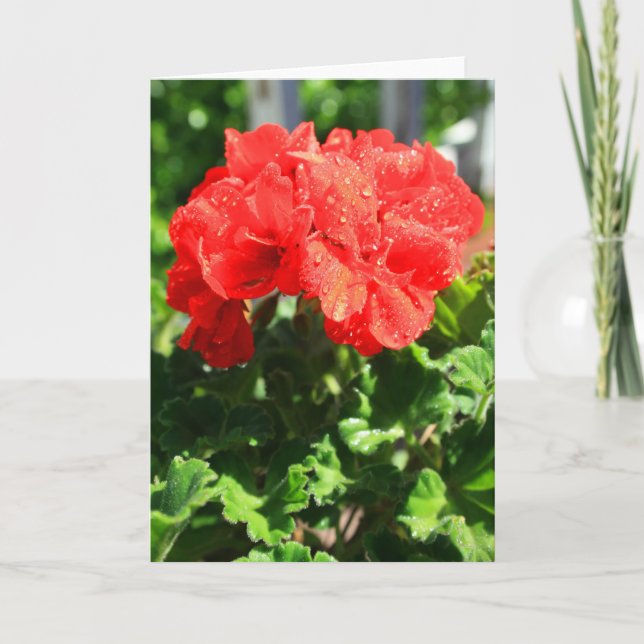 Tarjeta de felicitación roja de la flor del (Anverso)