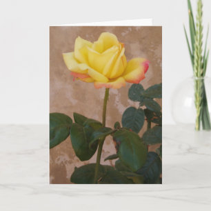 Tarjeta de felicitación Rosa