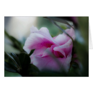 Tarjeta de felicitación Rosa Azalea