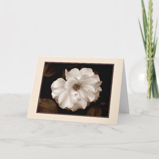 Tarjeta de felicitación 'Rosa de primavera (Sepia) (Anverso)