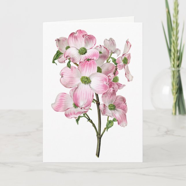 Tarjeta de felicitación rosa Dogwood Vintage Blank (Anverso)