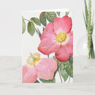 Tarjeta de felicitación rosa roja Pierre-Joseph Re
