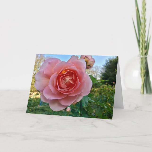 Tarjeta de felicitación rosa rosa (Anverso)