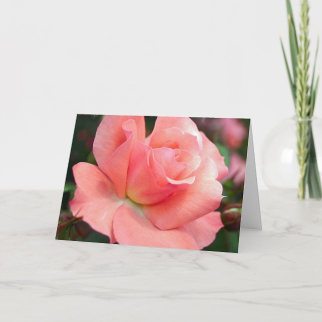 Tarjeta de felicitación rosa rosa (Anverso)